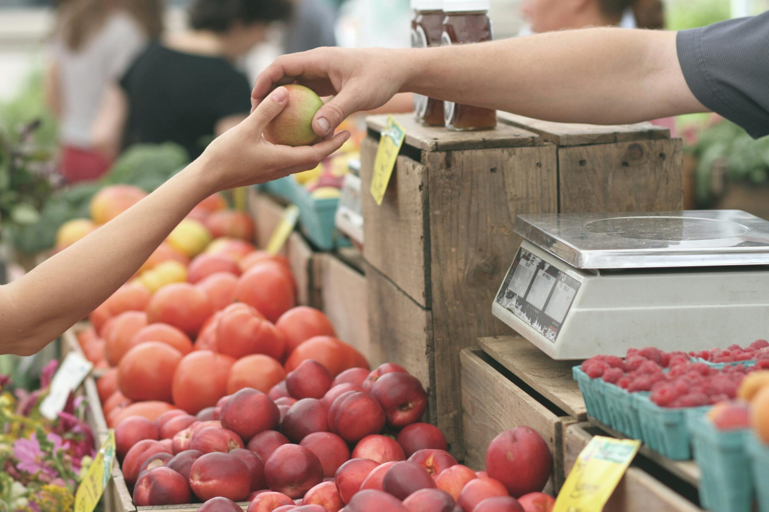 Mejora la gestión de tu tienda de abarrotes con un sistema POS