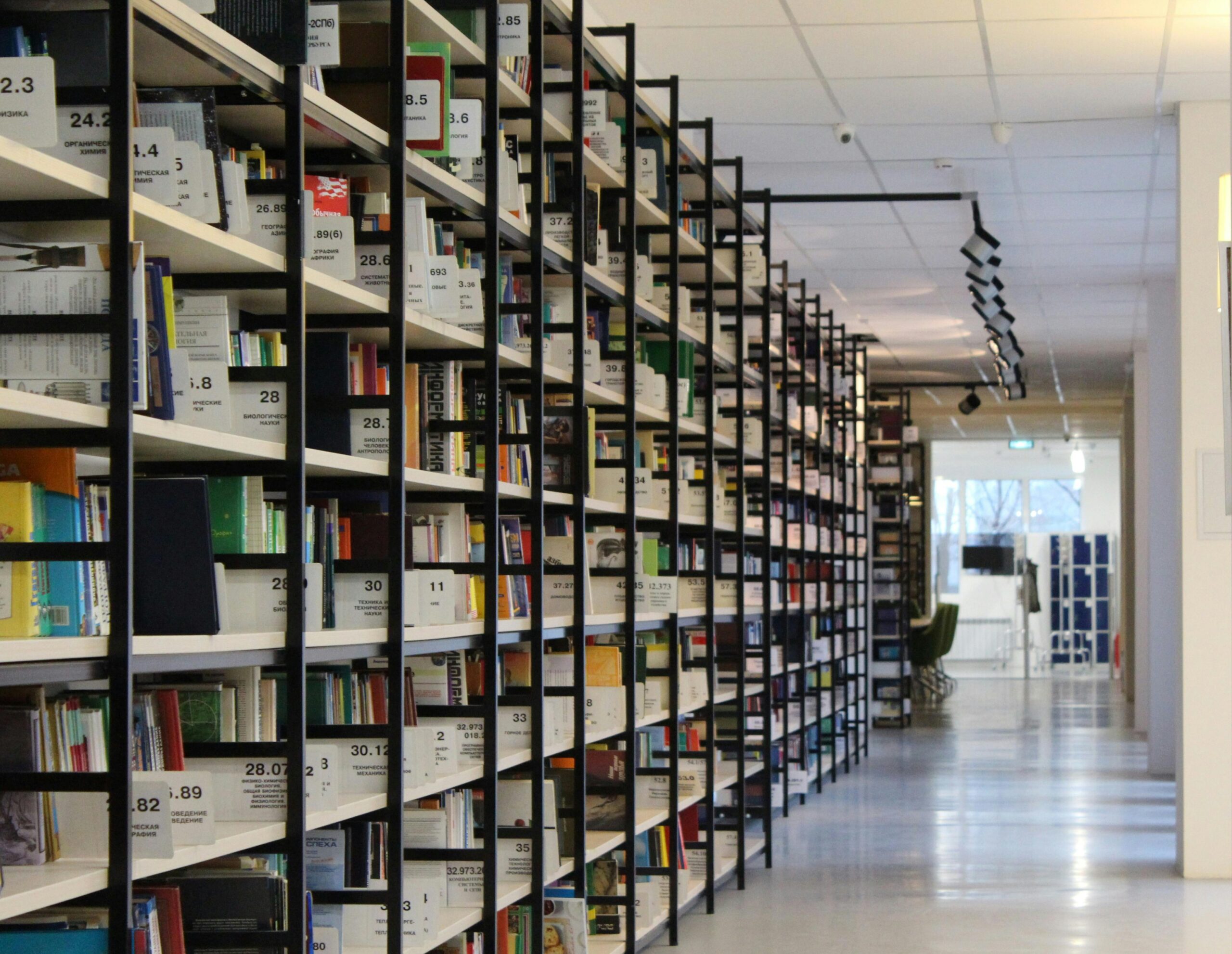 Organización correcta de un inventario