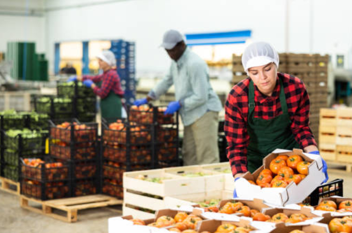 ¿Qué Es la Merma de Productos? ¡Todo lo Que Necesitas Saber!
