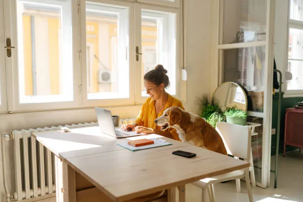 Emprendimientos Desde Casa: Ideas y Consejos para Empezar