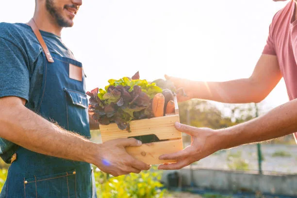 ¡Ideas de Cosas para Vender y Emprender en México!