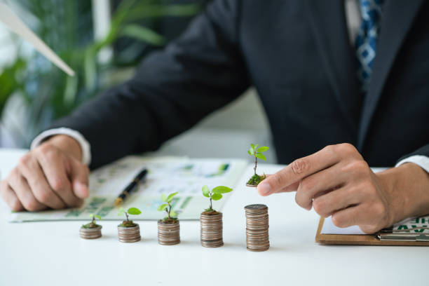 Subsidio al Empleo en una Empresa: ¿Qué es?