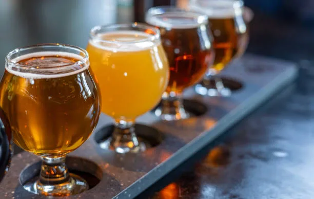¿Cómo Diseñar una Cervecería?: Guía para Emprendedores