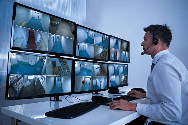 ¿Por qué es Importante Contar con Cámaras de Seguridad?